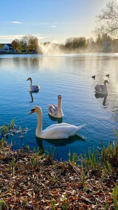 Emerald Lake House Саут-Керні Екстер'єр фото